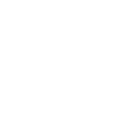 bluefox